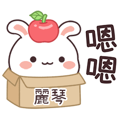 嬌嬌兔姓名貼_麗琴專用