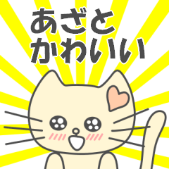 可愛的小貓咪小祺(日文版)