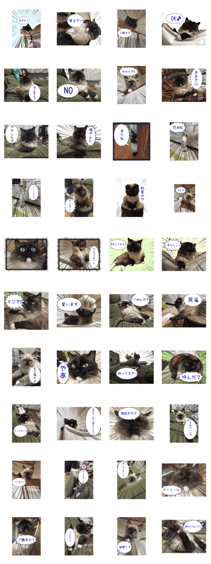kansai ben CAT