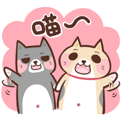 Cat's Daily Life (Xiao Hua & Ah Bun)