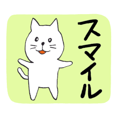 075 Positive words and white cat
