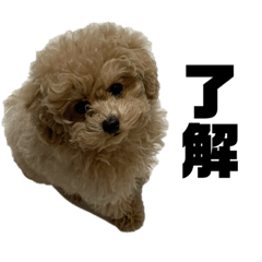 puku_20210618175314