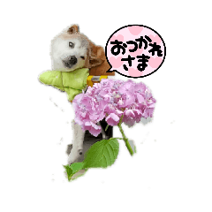 ponta_20210618194210