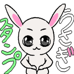 Clear-eyed rabbit