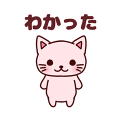 Strawberry milk colored cat