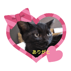 matsu_20210618163838