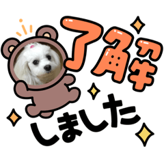 lain_20210619082235