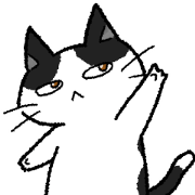 Bicolor cat 01