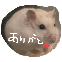 natsumi_20210618193136