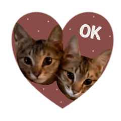 maiandcocoa__coton sticker