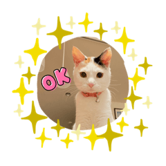 Saya_Karin