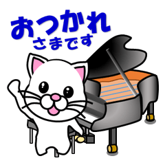 A music teacher of white cat