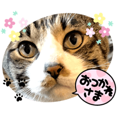 koko_20210618235041