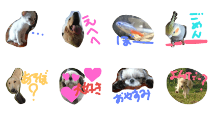 dog,cat,bird