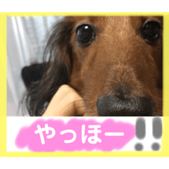 ye_20210619004816