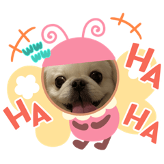 fuwa_20210618222037