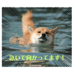 Hana_20210618233302