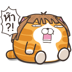 เหมียวซ่า ตัวกลมๆ