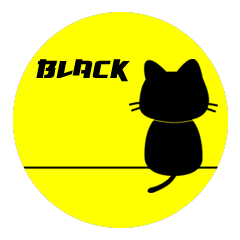 Black cat "Buakaw"