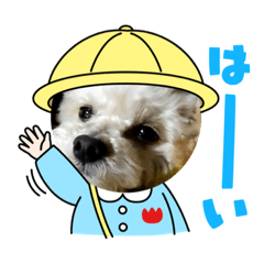 suzu_20210619092223