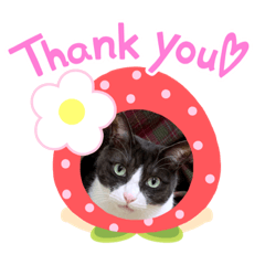 asako_20210619112850