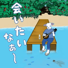 daily life of OKINAWA sanshin goat 2