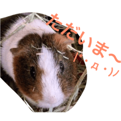 biiichan from suzukike