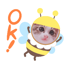 arisa_20210619114740