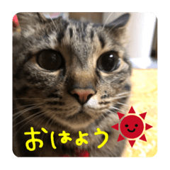 YUKA_20210619141359