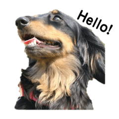 yukari_20210619185847