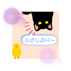 ORANGE_20210619154917