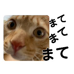 tetsu_20210619213838