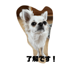 AKIKO_20210619220612