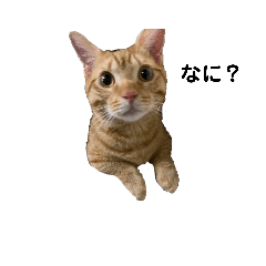 tetsu_20210619222348