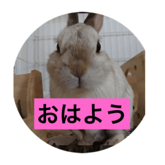 kero_20210620004916