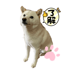 tomomi_20210620062103