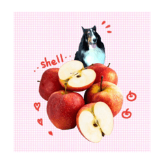 Ayumi_20210620080618