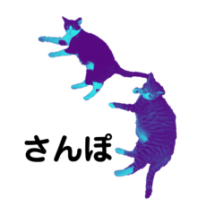 yakubo_20210620094333