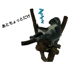 ikawatokidokisugimura