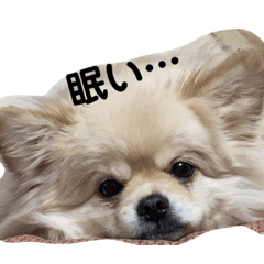 hana_20210619193610