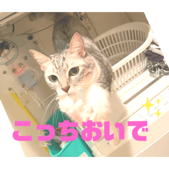 rei_20210619201007