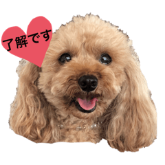 Nozomi_20210619202905