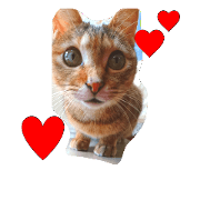 cat'Chikuwa'