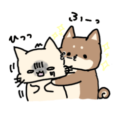 Cat&Mameshiba