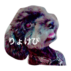 HamaHana