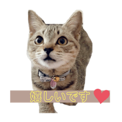 NAGISA_20210619220312