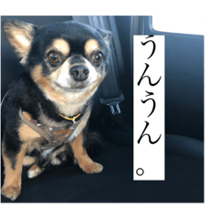 Ponta_20210619232850