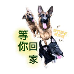 污肥肥肥肥肥生活篇