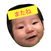 mainichi mocoto issyo