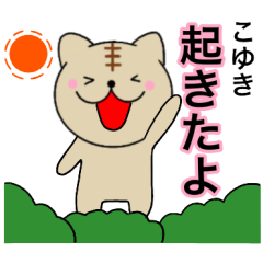 Names cat koyuki 2